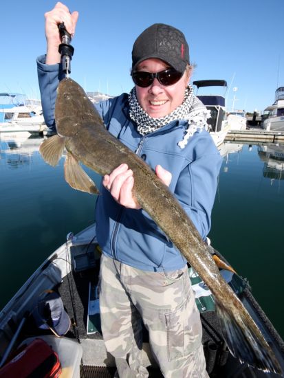 Hairy times in SE Queensland